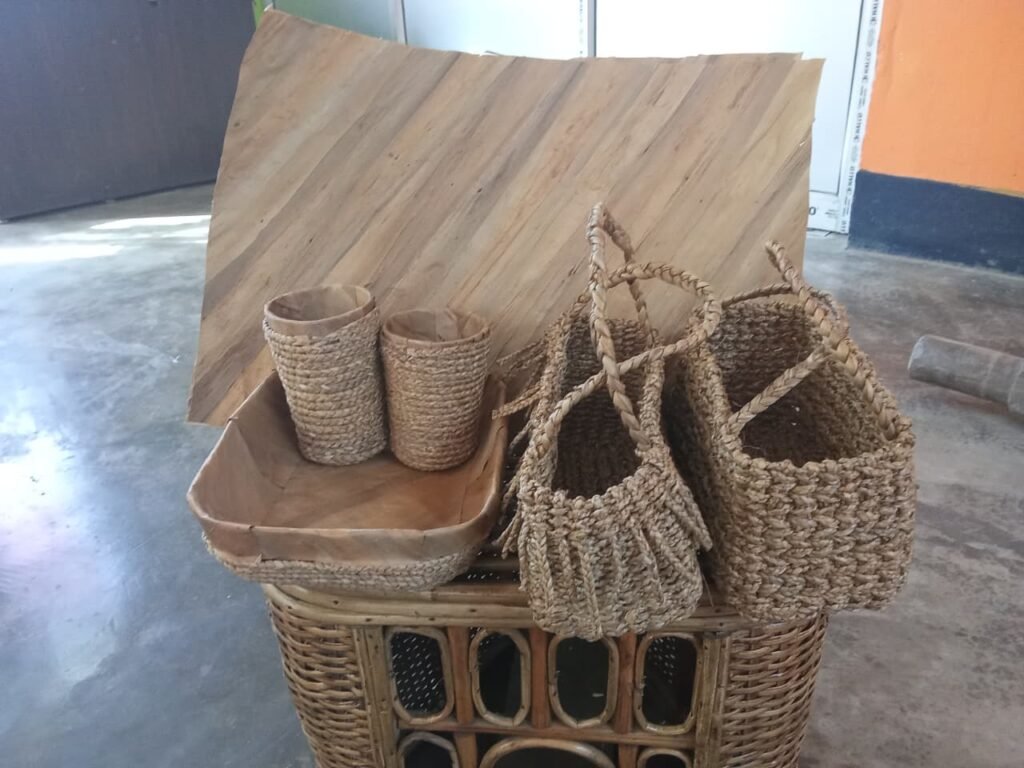 WhatsApp Image 2026-01-27 at 18.24.51 (1)